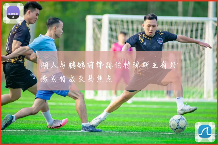 湖人与鹈鹕前锋赫伯特琼斯互有好感或将成交易焦点