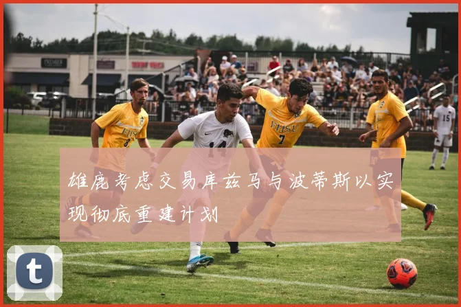 雄鹿考虑交易库兹马与波蒂斯以实现彻底重建计划